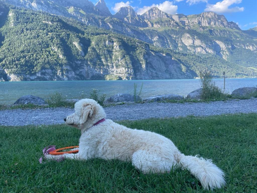 Doodle'S Amazing Chalet -Walensee - Flumserberg - Churfirsten - Heidiland - Pool - Sauna Mols Eksteriør billede